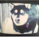 to be without authority